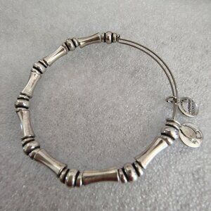 Alex and Ani Silver Beaded Charm Bracelet Adjustable Bangle  174